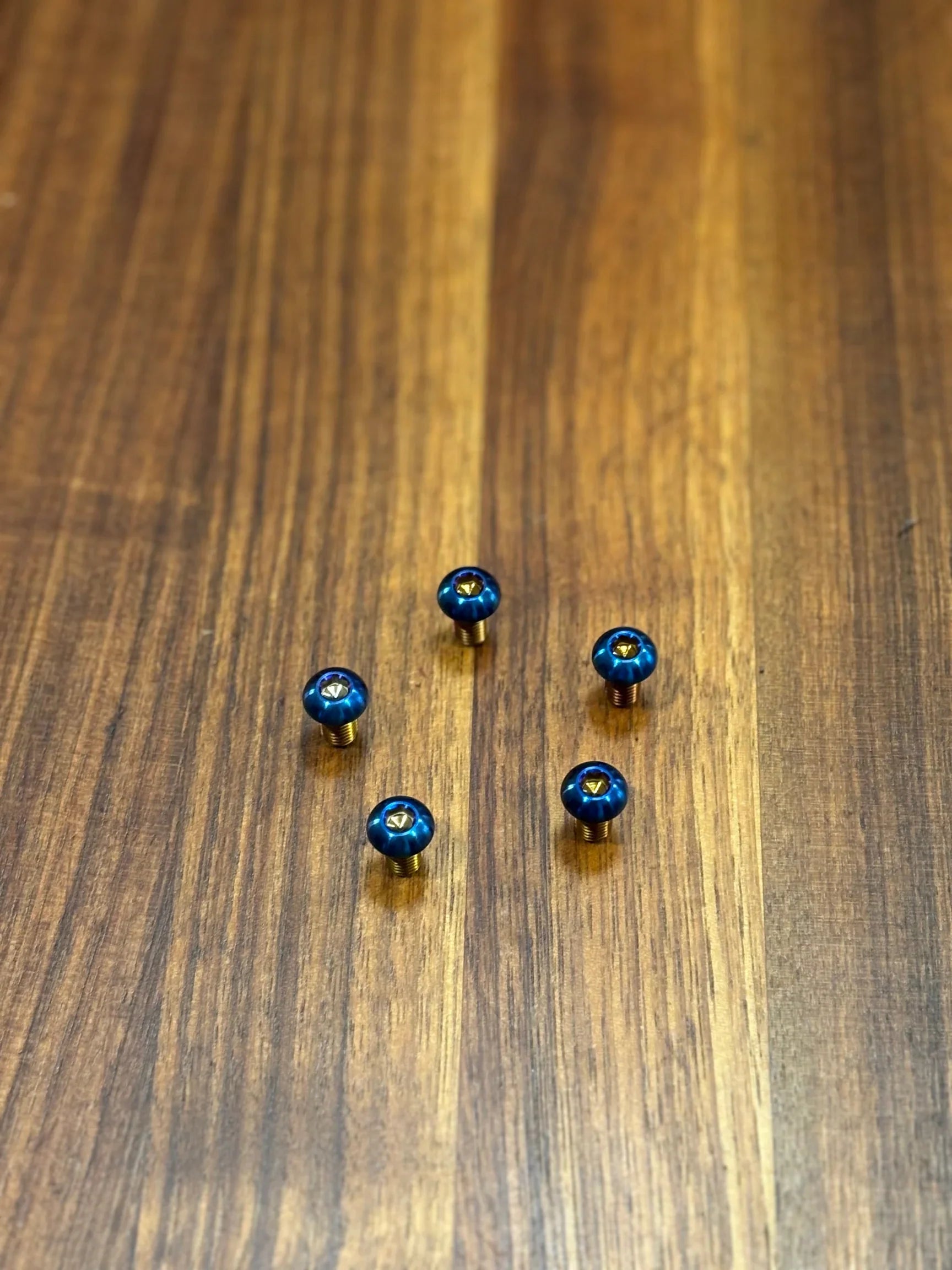 Eride Pro S/SS/SR Bolt Kit